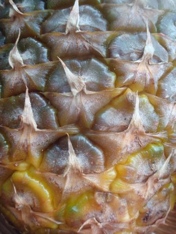 Pineapple peel texture