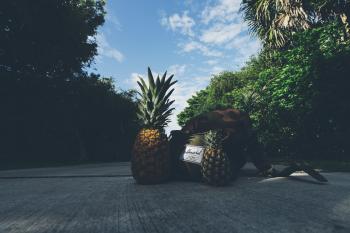 Pineapples Beside Backpack