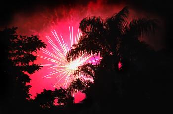 Pink fireworks