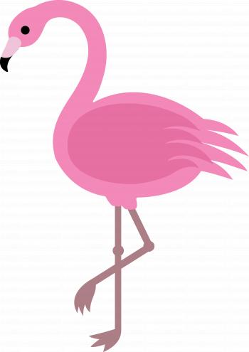 Pink Flamingo Clip Art | Cricut | Pinterest | Pink flamingos, Clip ...