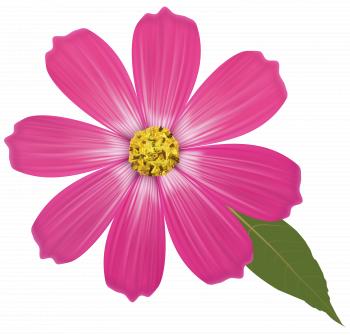 Pink Flower PNG Clipart - Best WEB Clipart