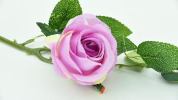 Free stock photo of artificial flowers, beautiful flowers, pink flower