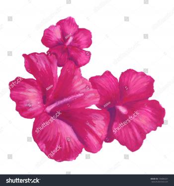 Hand Painted Oil Pastel Drawing Tropical Stock Illustration ...