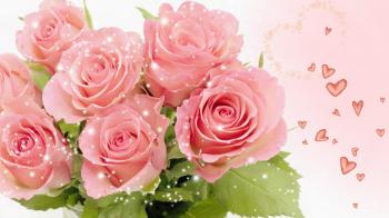 Pleasing High Pink Rose Strikingly Bouquet Wallpaper 2452 Flowers HD ...
