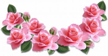 Pink Roses Decoration PNG Clipart Image | Gallery Yopriceville ...
