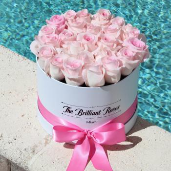Pink roses in round flower box – The Brilliant Roses