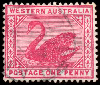 Pink Swan Stamp