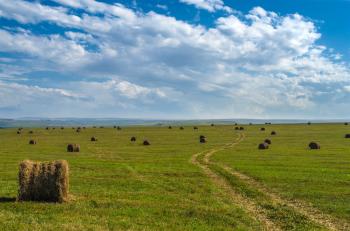 Bales on the plain / 2048 x 1365 / Nature / Photography | MIRIADNA.COM