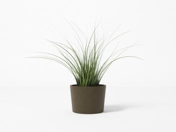 Free Plant 3D Models | CGTrader