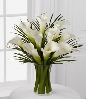 Living Room : New Plant In Living Room Home Design Great Excellent ...