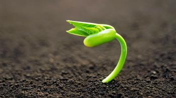 Dr. Alfred Sparman – Keep Close To The Plant