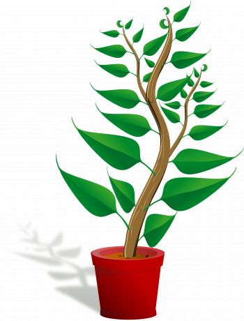Tall Plant Clipart