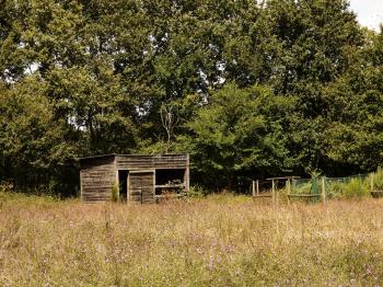Free Images : landscape, tree, nature, grass, field, farm, meadow ...