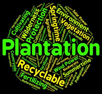 Plantation Word Means Farms Ranches And Farming