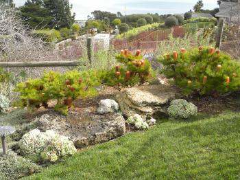 How to choose boulders for any garden | The Human Footprint