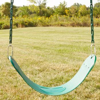 Amazon.com: Swing-N-Slide Heavy Duty Vinyl Coated Backyard Swing ...