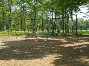 Playground Swing Set
