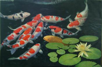Koi Fish Pond Drawing at GetDrawings.com | Free for personal use Koi ...