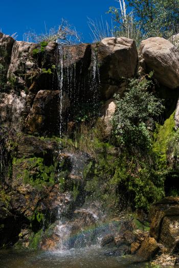Bug Spring | Hike Lemmon!