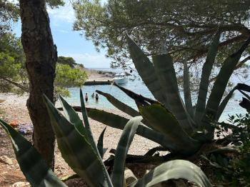 Private beach tour Seayou