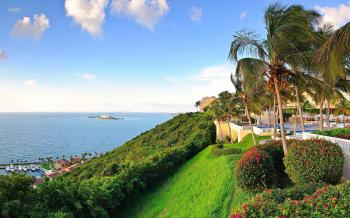 Crypto Billionaires Are Building a Utopia in Puerto Rico ...