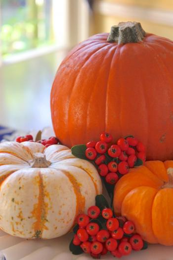 How to Prepare a Pumpkin (How to Cook, Bake or Roast a Pumpkin ...