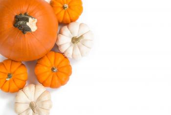 October Specials | Pinewood Laser & Spa | Somersworth NH