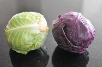 Gather's Roasted Green and Purple Cabbage - Fed & Fit