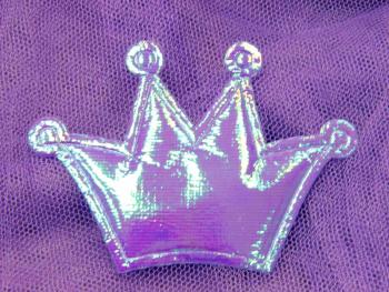 Princess Crown Bed Canopy Kids Childrens Girls Insect Mosquito Net ...