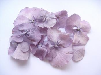 The Confetti Blog: Purple Wedding Themes - Ideas, Flowers and ...