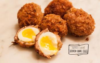 Japanese Spiced Scotch Quail Eggs • The Savoury CellarThe Savoury Cellar