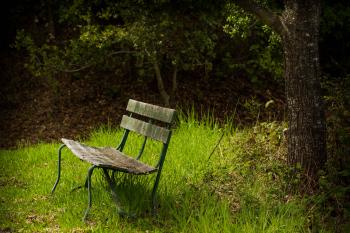 a quiet bench to sit under a tree | smilecalm