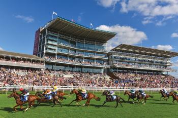 Knavesmire Stand Boxes | York Racecourse