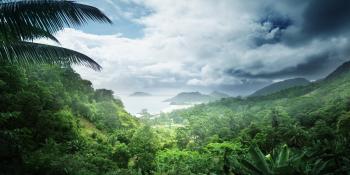 50 Astounding Facts About Rainforests (INFOGRAPHIC) | HuffPost