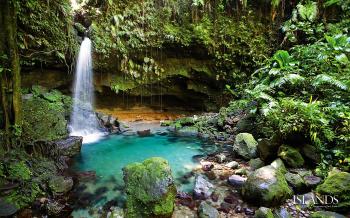 Image detail for -... Caribbean island rainforest | Save the ...