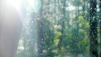 Water drops dripping down window in forest right after a raining ...