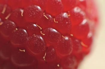 Macro Raspberry by ducttapedwelling on DeviantArt