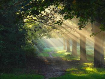 Rays Of Hope-Bangladesh