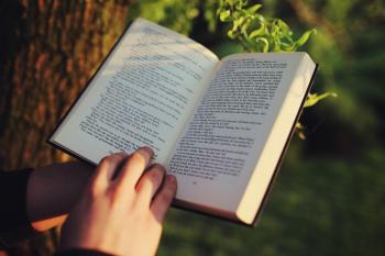 Read a book: a novel idea - The Triangle