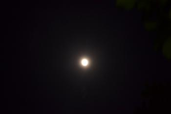 Real Bright Moon