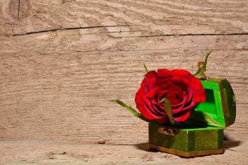 Red and Green Rose Inside Green and Brown Chest Box