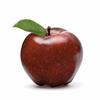 All Natural Aged Red Apple Balsamic - Anacortes Oil & Vinegar Bar ...