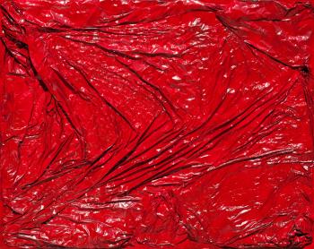 Red Garbage - Francesca Matarazzo di Licosa - Premio Celeste 2011 ...