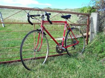 Red bike and Iron gate - Healing ten Spe