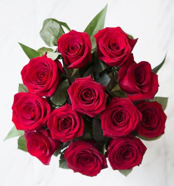 Amazon.com : KaBloom The Romantic Classic Red Rose Bouquet of 12 ...