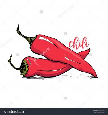 Red Chilli Pepper Sketch Style Vector Illustration Isolated On White ...