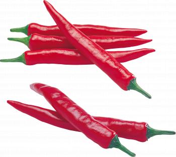 Red chili pepper PNG image