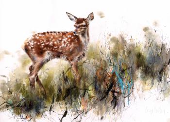 Red Deer Fawn - The Whitehouse Gallery