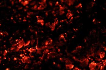 fire texture coals red hot orange glowing dark wallpaper - TextureX ...