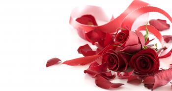Red Flowers For Wedding 36 Background - HdFlowerWallpaper.com